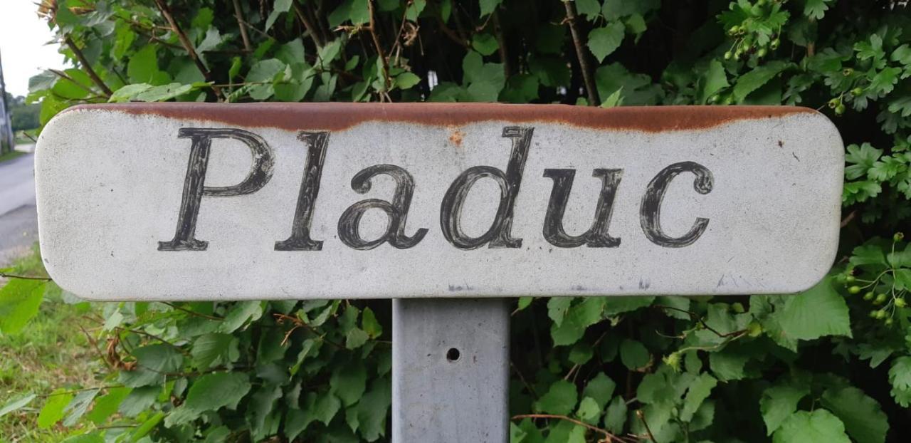 Bed and Breakfast Domaine De Pladuc Lachaise Esterno foto