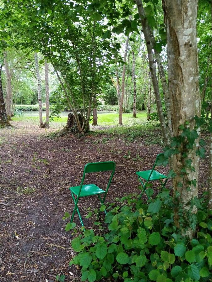 Bed and Breakfast Domaine De Pladuc Lachaise Esterno foto