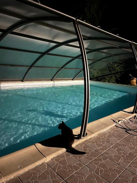 Bed and Breakfast Domaine De Pladuc Lachaise Esterno foto
