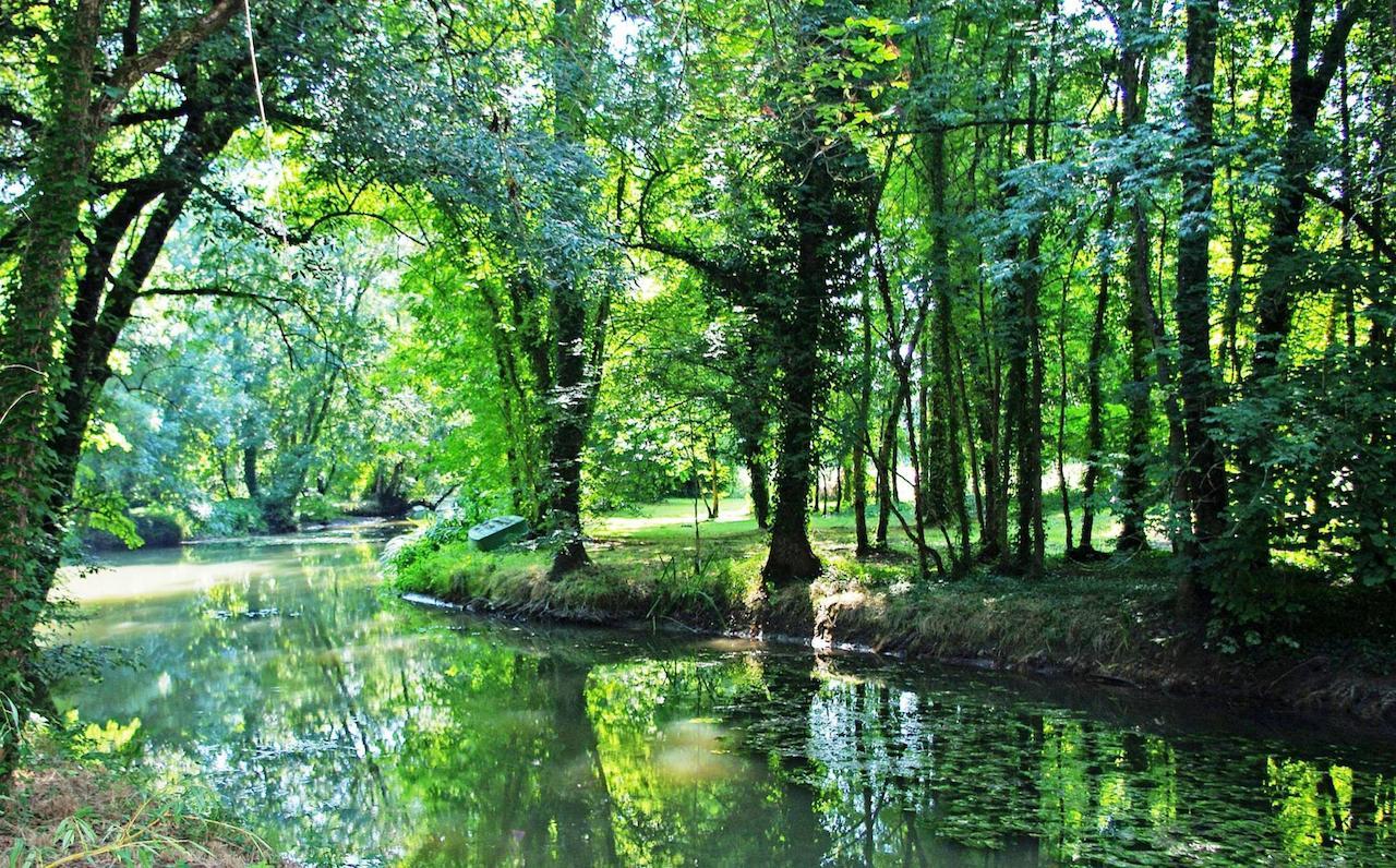 Bed and Breakfast Domaine De Pladuc Lachaise Esterno foto