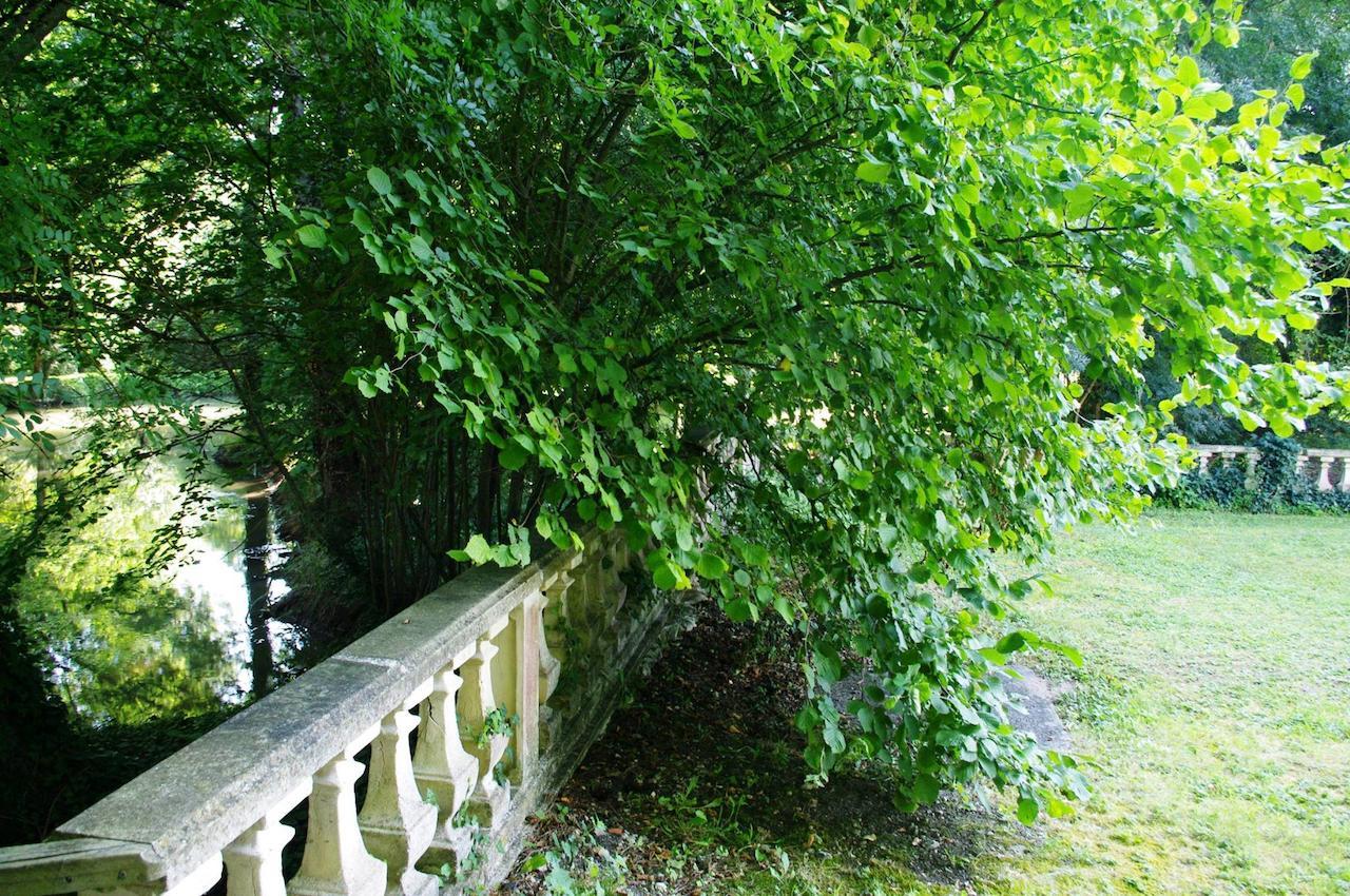 Bed and Breakfast Domaine De Pladuc Lachaise Esterno foto